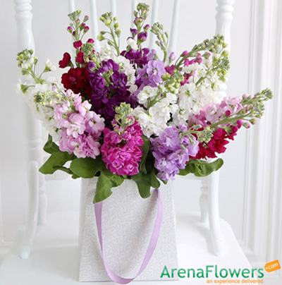 Arena Flowers Store