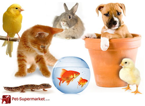 Pet Supermarket Logo